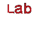 Lab